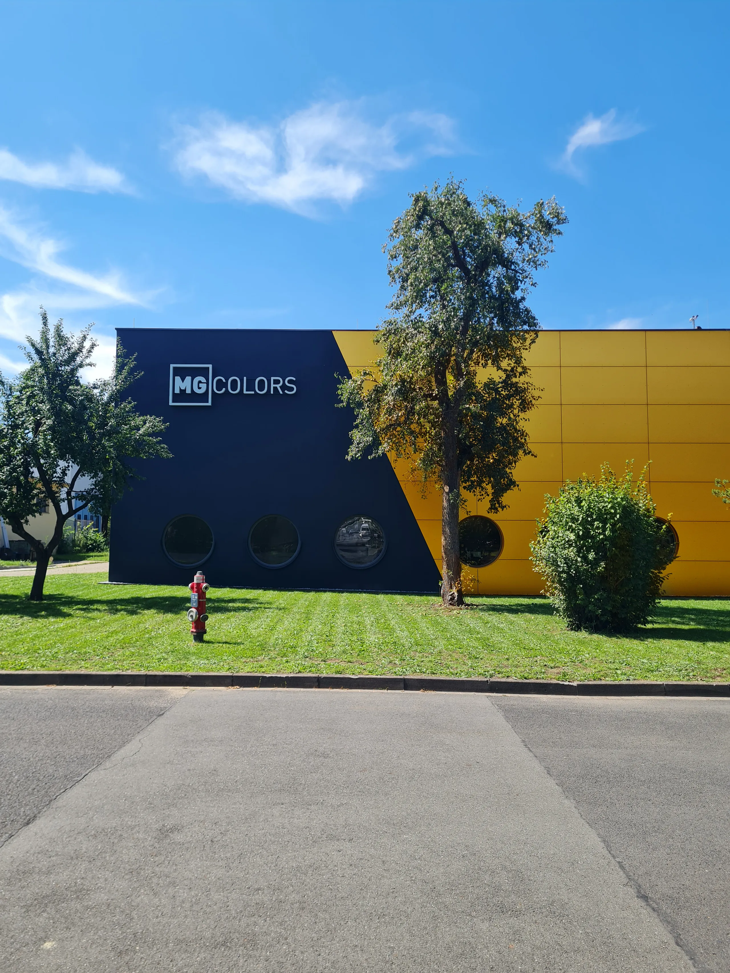 Almacén de MG Colors